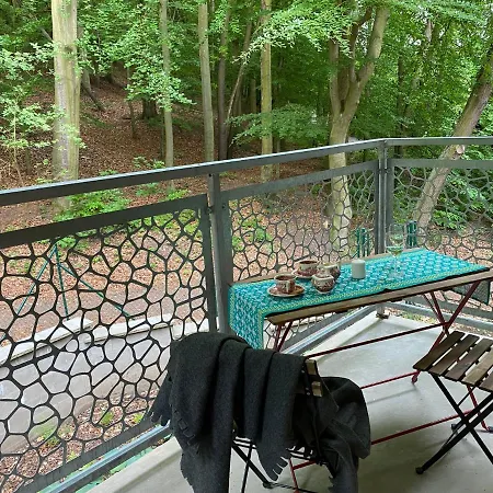 Sumavska Forest View Hotel
